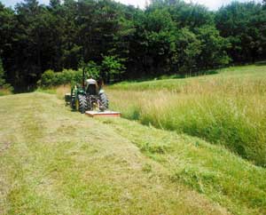 Fauchage et tonte espace vert